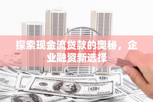 儋州探索现金流贷款的奥秘，企业融资新选择
