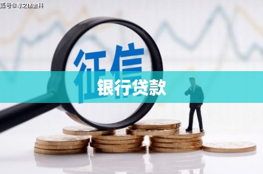 儋州银行贷款