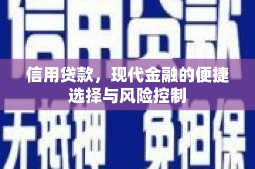 儋州信用贷款，现代金融的便捷选择与风险控制
