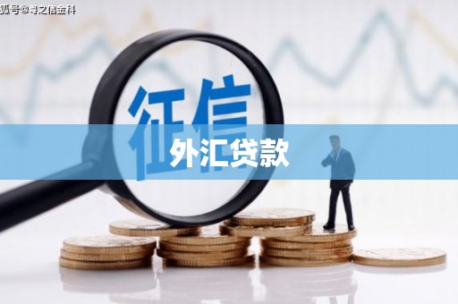 儋州外汇贷款