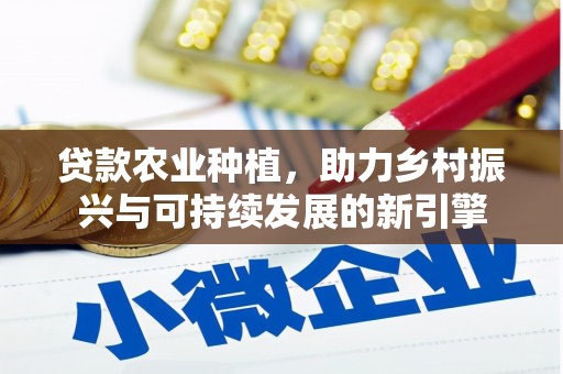 儋州贷款农业种植，助力乡村振兴与可持续发展的新引擎