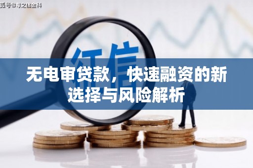 儋州无电审贷款，快速融资的新选择与风险解析