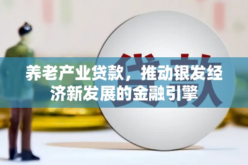 儋州养老产业贷款，推动银发经济新发展的金融引擎