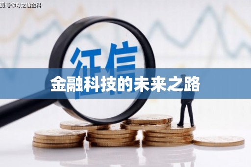 儋州金融科技的未来之路