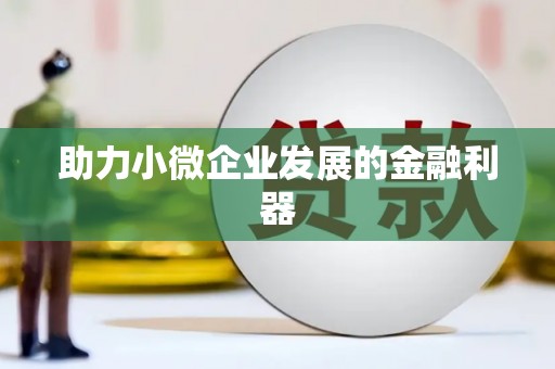 儋州助力小微企业发展的金融利器