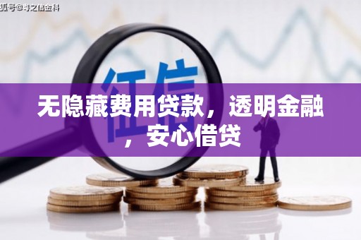 儋州无隐藏费用贷款，透明金融，安心借贷