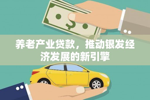 儋州养老产业贷款，推动银发经济发展的新引擎