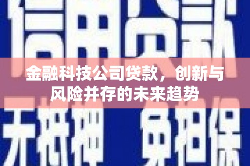儋州金融科技公司贷款，创新与风险并存的未来趋势