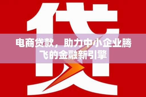 儋州电商贷款，助力中小企业腾飞的金融新引擎
