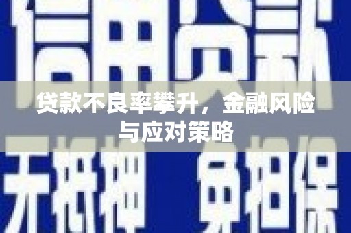 儋州贷款不良率攀升，金融风险与应对策略