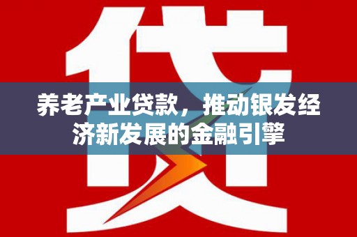 儋州养老产业贷款，推动银发经济新发展的金融引擎