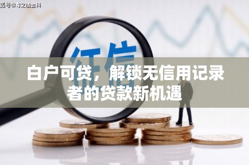 儋州白户可贷，解锁无信用记录者的贷款新机遇
