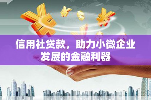 儋州信用社贷款，助力小微企业发展的金融利器