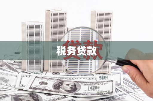 儋州税务贷款