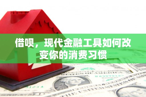 儋州借呗，现代金融工具如何改变你的消费习惯