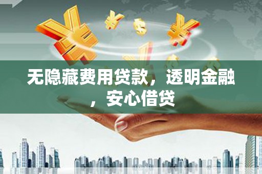 儋州无隐藏费用贷款，透明金融，安心借贷