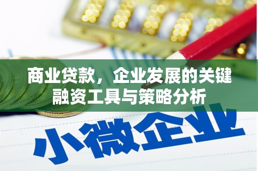 儋州商业贷款，企业发展的关键融资工具与策略分析