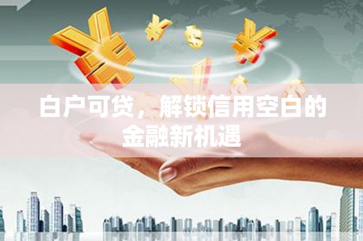 儋州白户可贷，解锁信用空白的金融新机遇