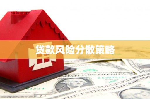儋州贷款风险分散策略