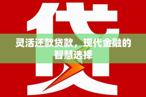 儋州灵活还款贷款，现代金融的智慧选择