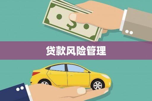 儋州贷款风险管理