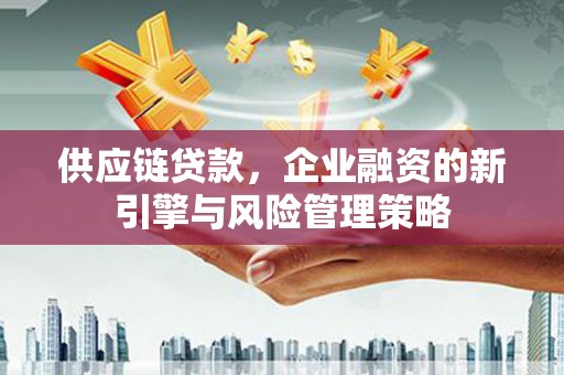 儋州供应链贷款，企业融资的新引擎与风险管理策略