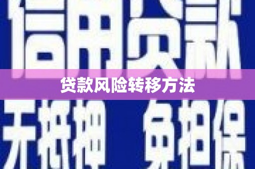 儋州贷款风险转移方法