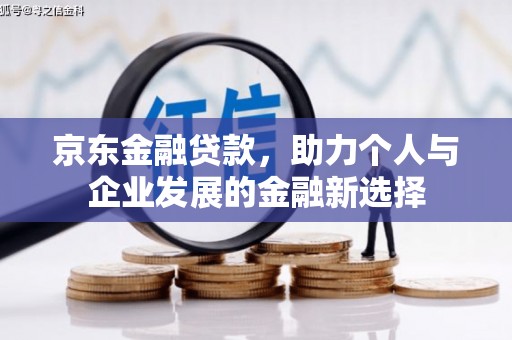 儋州京东金融贷款，助力个人与企业发展的金融新选择