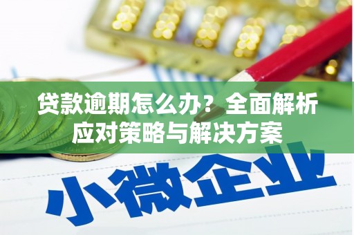 儋州贷款逾期怎么办？全面解析应对策略与解决方案