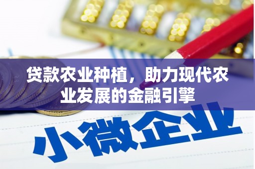 儋州贷款农业种植，助力现代农业发展的金融引擎