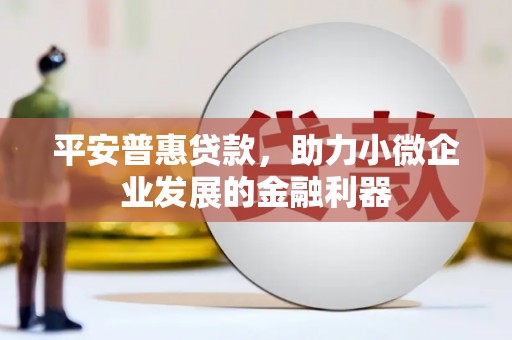 儋州平安普惠贷款，助力小微企业发展的金融利器