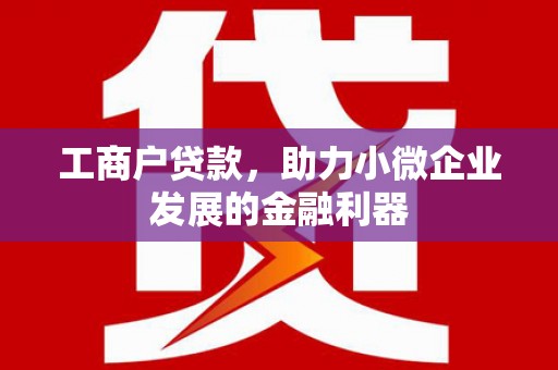 儋州工商户贷款，助力小微企业发展的金融利器