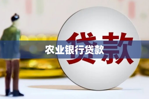 儋州农业银行贷款