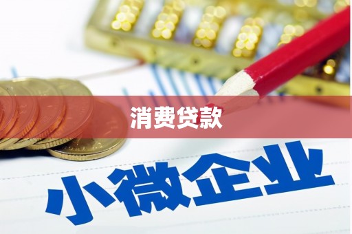 儋州消费贷款