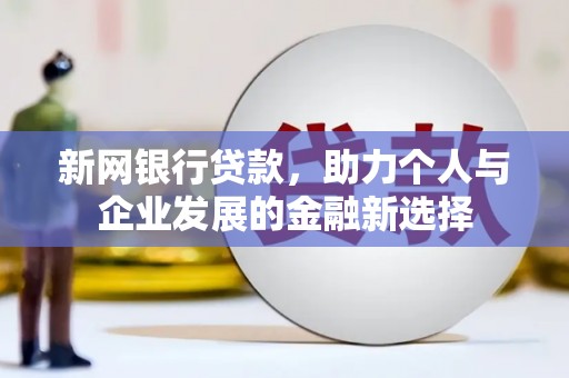 儋州新网银行贷款，助力个人与企业发展的金融新选择
