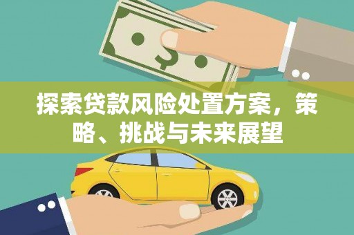 儋州探索贷款风险处置方案，策略、挑战与未来展望