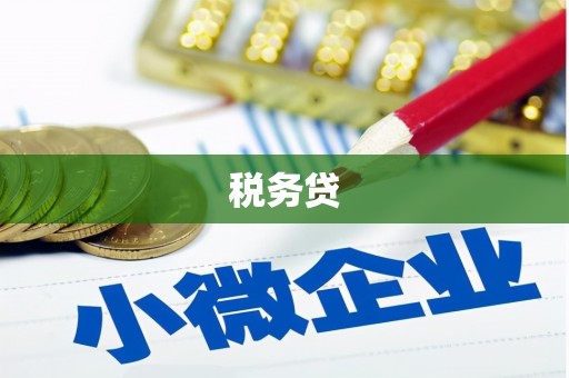 儋州税务贷