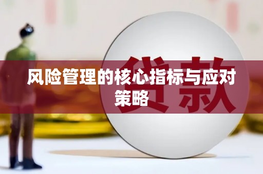 儋州风险管理的核心指标与应对策略