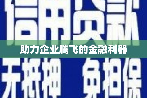 儋州助力企业腾飞的金融利器