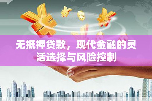 儋州无抵押贷款，现代金融的灵活选择与风险控制