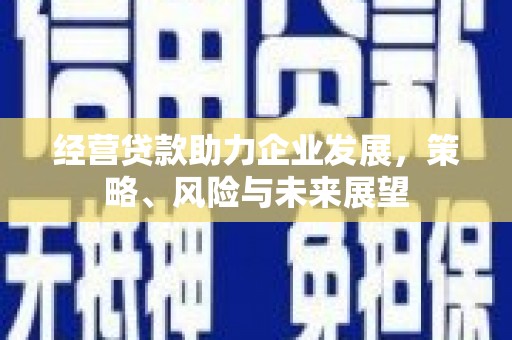 儋州经营贷款助力企业发展，策略、风险与未来展望