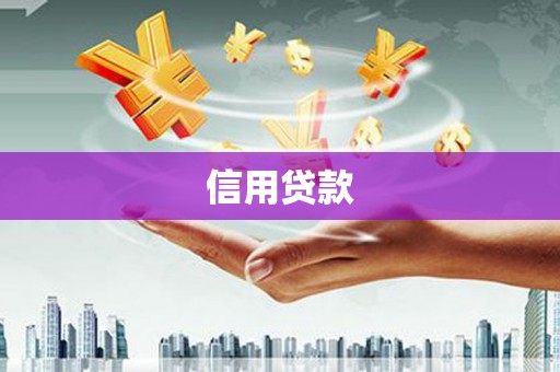儋州信用贷款