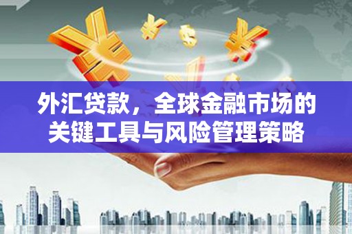 儋州外汇贷款，全球金融市场的关键工具与风险管理策略