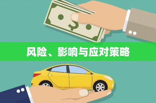 儋州风险、影响与应对策略