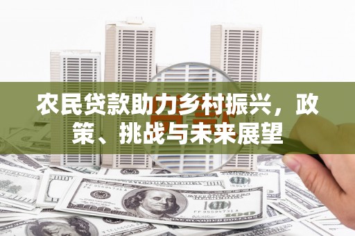儋州农民贷款助力乡村振兴，政策、挑战与未来展望