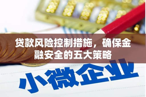 儋州贷款风险控制措施，确保金融安全的五大策略
