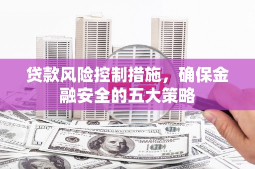 儋州贷款风险控制措施，确保金融安全的五大策略