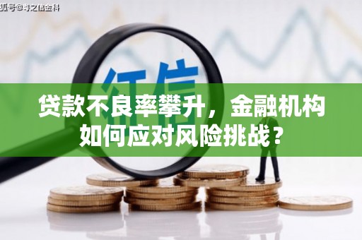 儋州贷款不良率攀升，金融机构如何应对风险挑战？