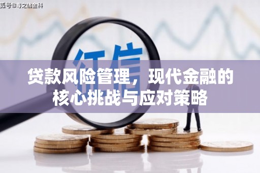 儋州贷款风险管理，现代金融的核心挑战与应对策略