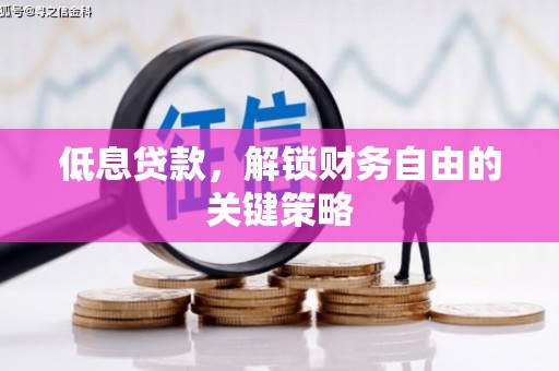 儋州低息贷款，解锁财务自由的关键策略